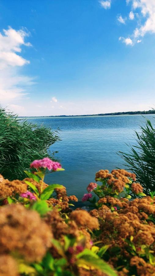 Madagascar Apartman Keszthely Εξωτερικό φωτογραφία